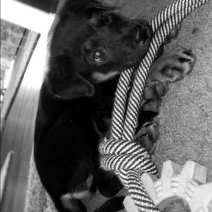 Meet your Posher, Braden